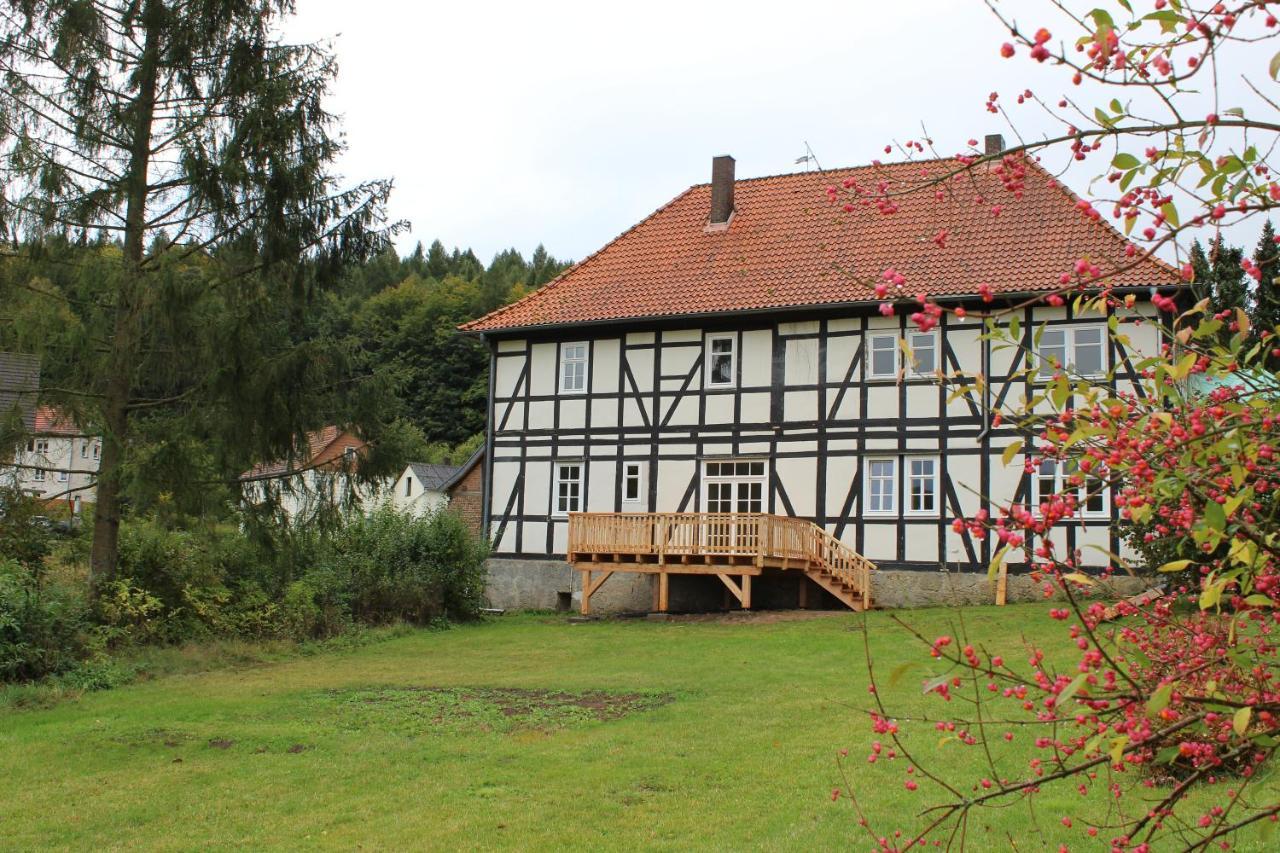 Forsthaus In Waldhessen Bauhaus Kültér fotó